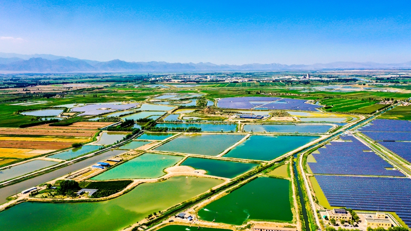 Foto memperlihatkan taman demonstrasi akuakultur hijau di kaunti Helan, bandar Yinchuan, Wilayah Autonomi Hui Ningxia di barat laut China. (Foto oleh Li Shaobo)
