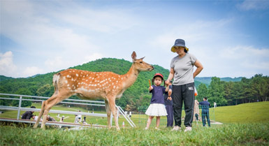 Taman Rusa di Heilongjiang Jadi Tumpuan Pelancong