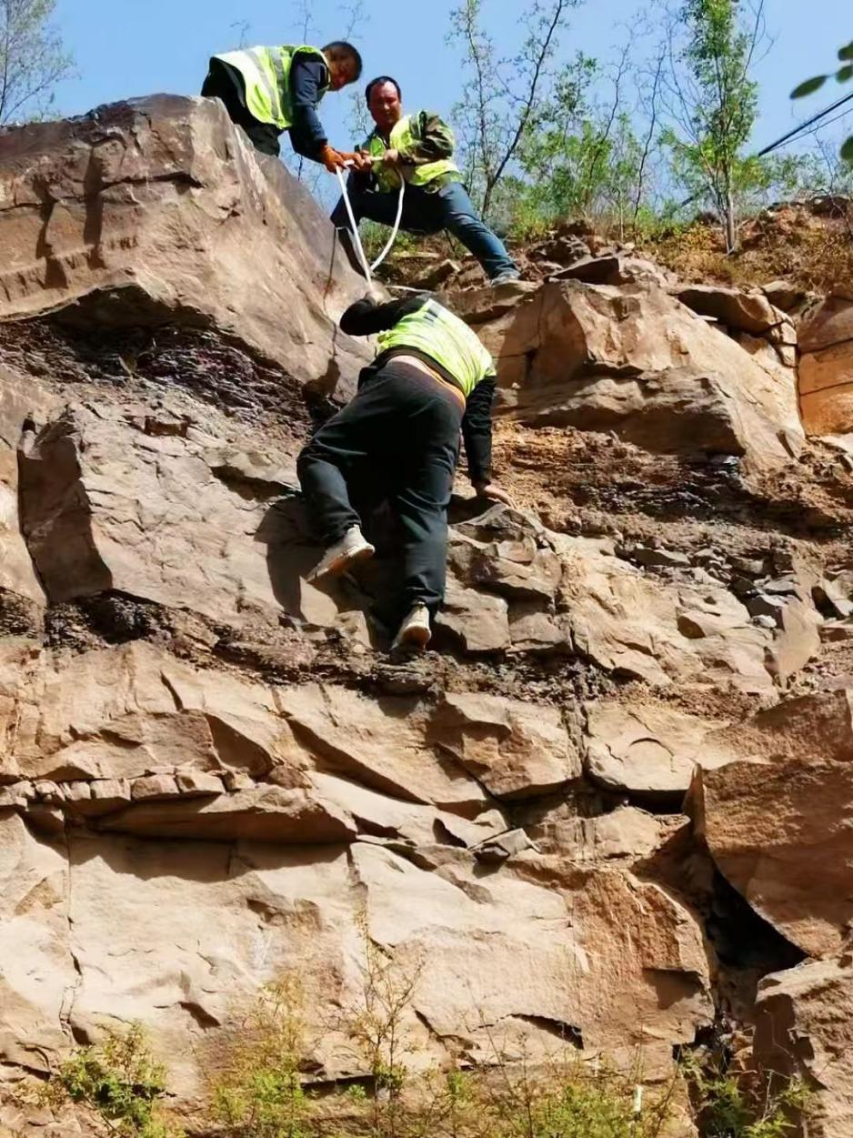 Foto fail ini menunjukkan seorang anggota ‘pasukan penghutanan cenuram’ sedang menakik turun satu cenuram di kaunti Yichuan, bandar Yan’an, Provinsi Shaanxi di barat laut China. (Foto ihsan individu yang diwawancara)