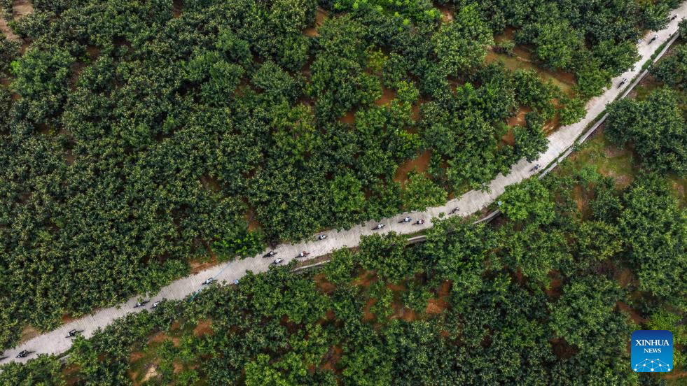 Hari Kecergasan Kebangsaan Disambut Meriah Serata China