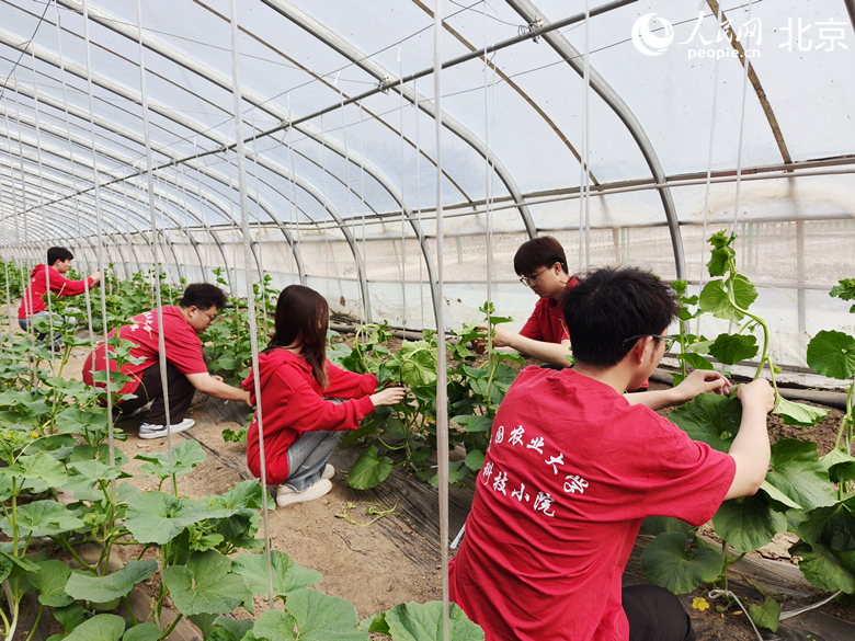 Halaman Sains dan Teknologi Bawa Kepakaran Buat Petani di Beijing