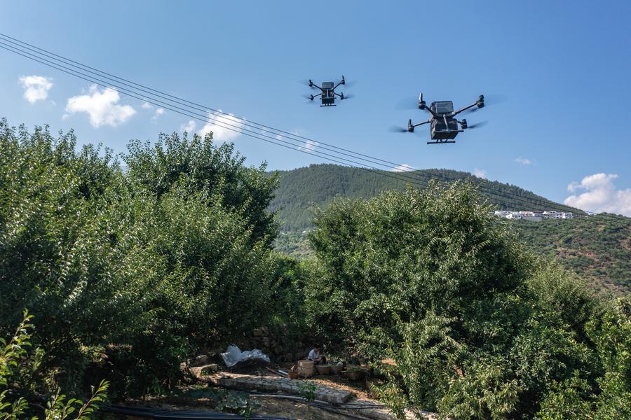 Foto memperlihatkan dron kargo membawa buah plum dari kebun plum di kampung Ganyuan di kaunti Wushan, Chongqing, barat daya China pada 2 Julai 2024. (Xinhua/Huang Wei)