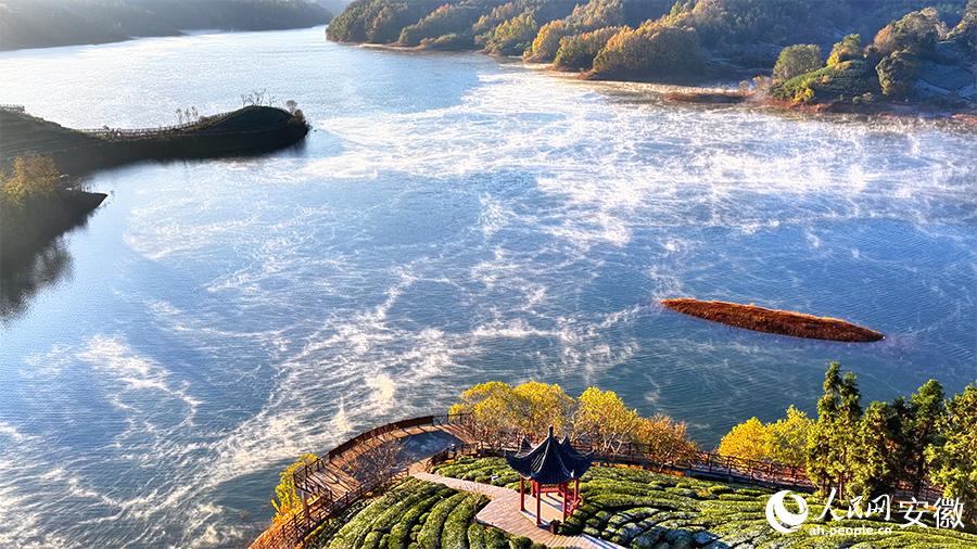 Pemandangan Menakjubkan Taman Bertemakan Teh Diselubungi Kabus Pagi di Anhui