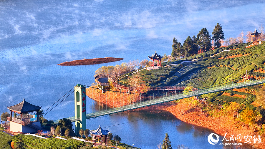 Pemandangan Menakjubkan Taman Bertemakan Teh Diselubungi Kabus Pagi di Anhui