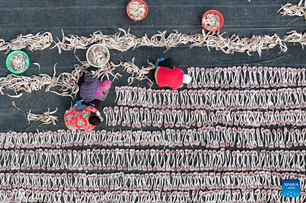 Nelayan Keringkan Makanan Laut Untuk Bekalan Pasaran di Bandar Tangshan