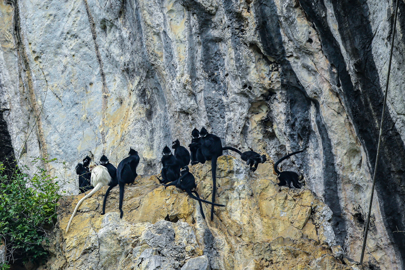 Aset Alam, “Lombong Emas” Kaunti Daxin, Guangxi