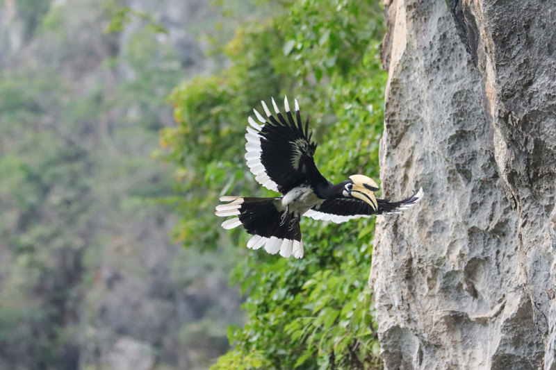 Aset Alam, “Lombong Emas” Kaunti Daxin, Guangxi