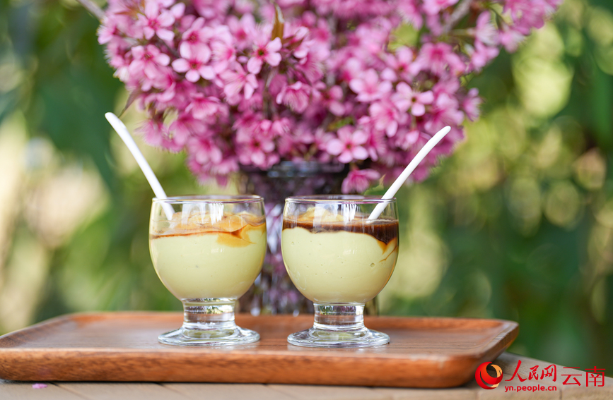 Lewat Musim, Petani di Yunnan Sibuk Tuai Kopi