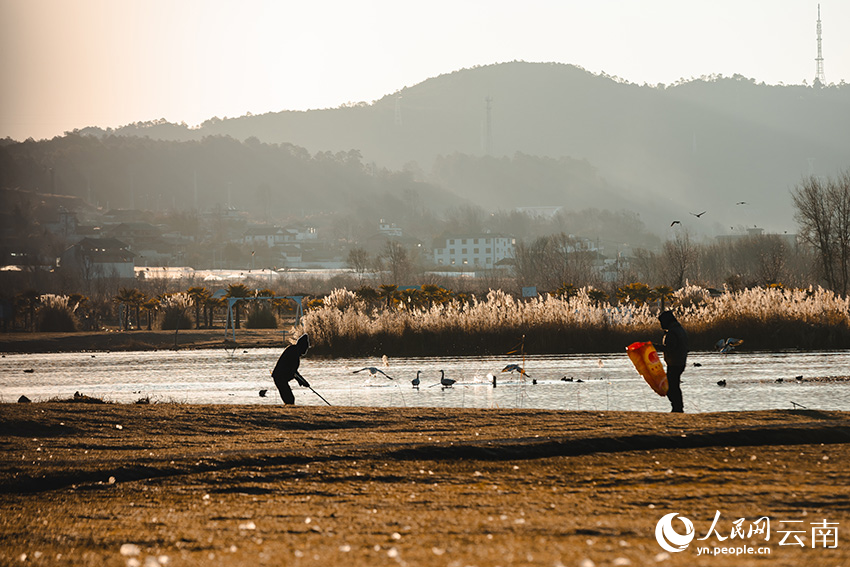 Taman Tanah Basah Laishihai: Lokasi Lindung Penting Burung Hijrah