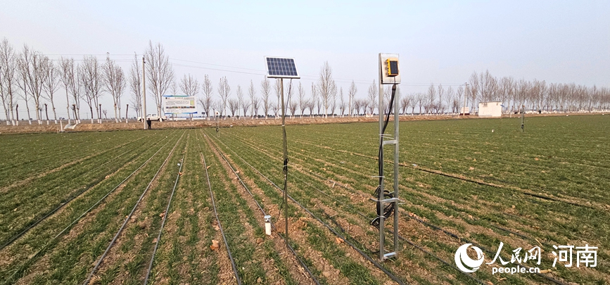 Peralatan pemantauan kelembapan tanah automatik secara berterusan mengawasi perubahan dalam masa nyata di ladang gandum di kaunti Huojia, Xinxiang, provinsi Henan, tengah China. (People's Daily Online/Shang Mingzhen)