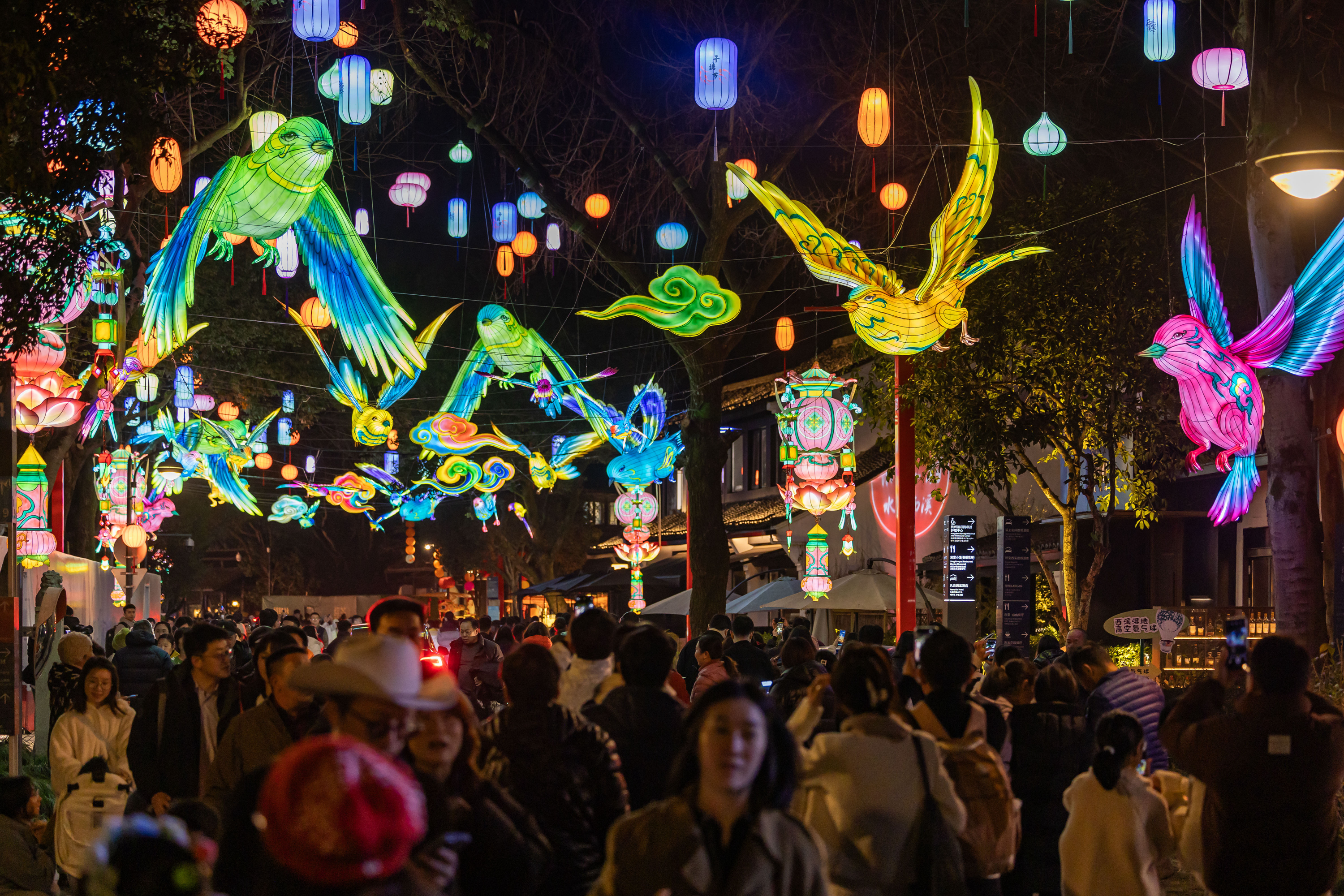 Pameran tanglung menarik kehadiran ramai pengunjung di Taman Tanah Basah Negara Xixi di Hangzhou, provinsi Zhejiang, timur China. (Foto ihsan penerima wawancara)