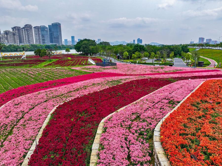 Foto bertarikh 11 April 2026 ini menunjukkan pemandangan di kawasan pelancongan Long Jiang Years di bandar Zhangzhou, provinsi Fujian, tenggara China. (Xinhua/Jiang Kehong)