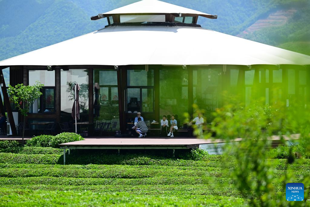 Pelancong bersantai di sebuah kebun teh di kampung Luxi, kaunti Jingde, bandar Xuancheng di provinsi Anhui, timur China, 16 Mei 2026. (Xinhua/Zhou Mu)