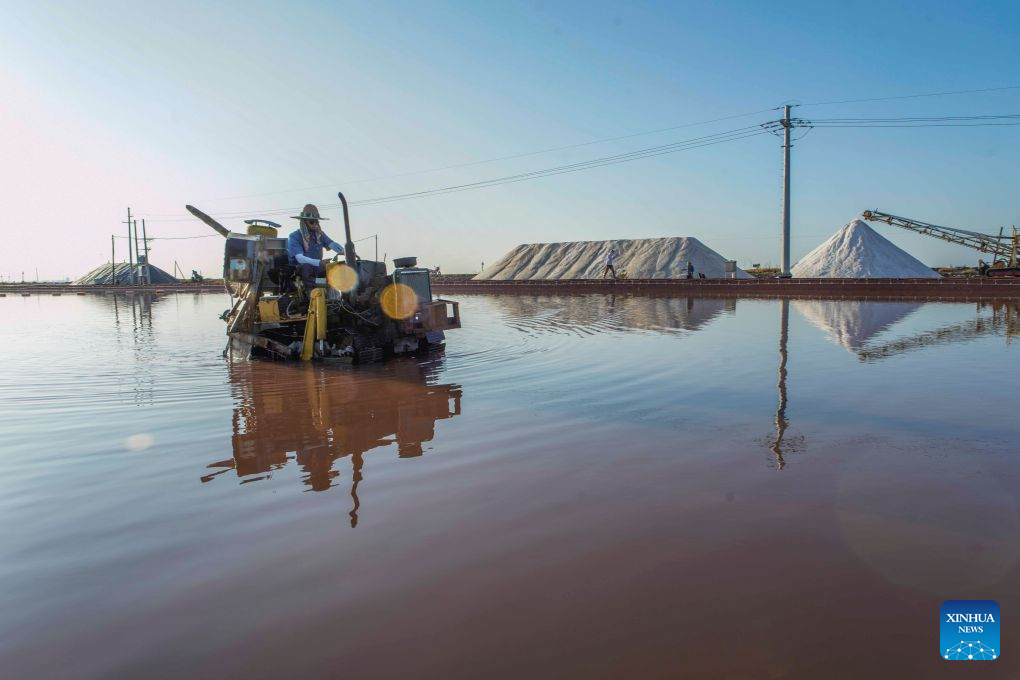 Orang sedang mengusahakan sebuah ladang garam di bandar Tangshan, provinsi Hebei, utara China, 1 September 2026. (Li Lei/Xinhua)