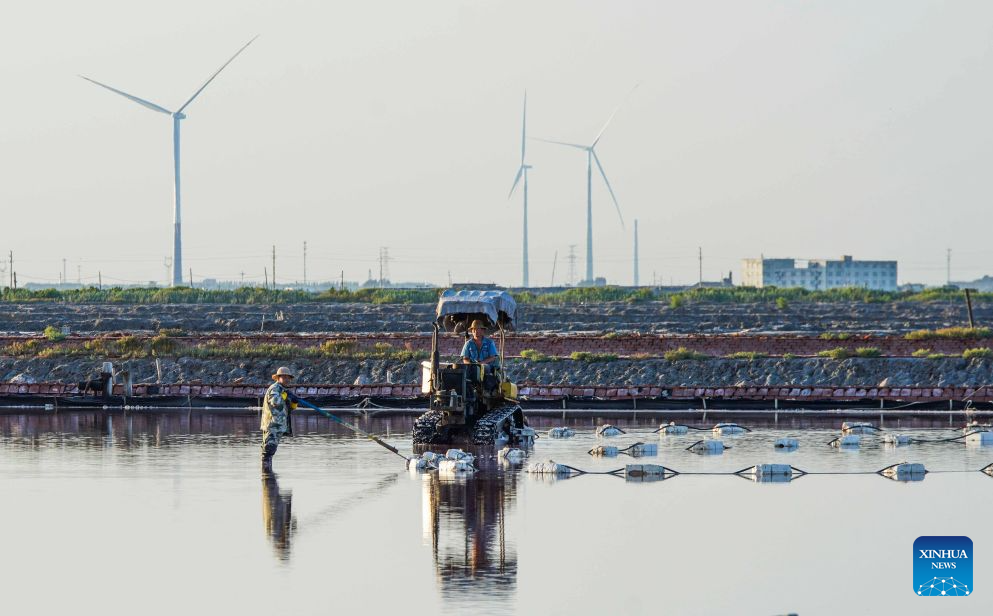 Orang sedang mengusahakan sebuah ladang garam di bandar Tangshan, provinsi Hebei, utara China, 1 September 2026. (Li Lei/Xinhua)