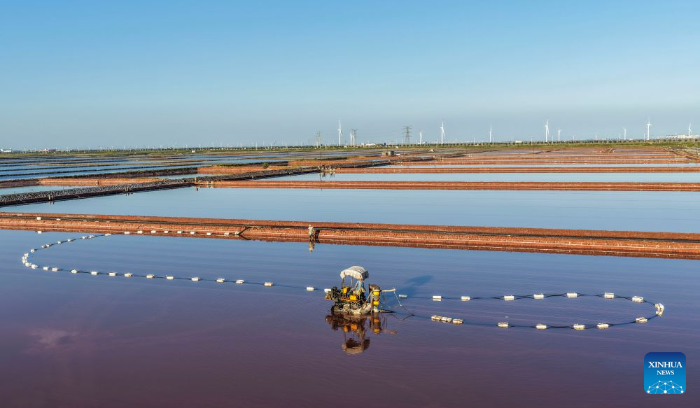 Orang sedang mengusahakan sebuah ladang garam di bandar Tangshan, provinsi Hebei, utara China, 1 September 2026. (Li Lei/Xinhua)