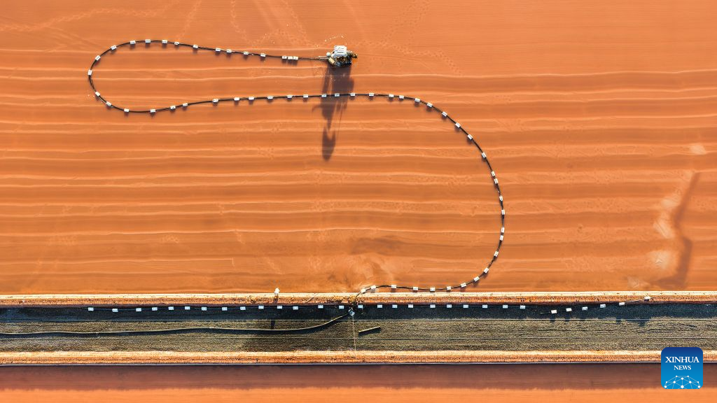 Foto dron yang diambil pada 1 September 2026 menunjukkan sebuah ladang garam yang masuk musim menuai di bandar Tangshan, provinsi Hebei, utara China. (Li Lei/Xinhua)