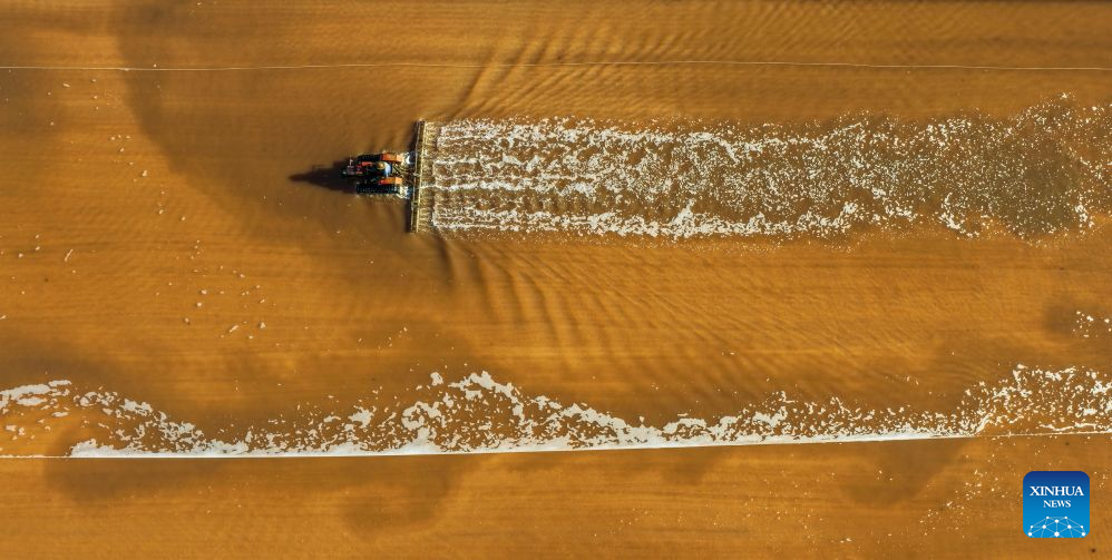 Foto dron yang diambil pada 1 September 2026 menunjukkan sebuah ladang garam yang masuk musim menuai di bandar Tangshan, provinsi Hebei, utara China. (Li Lei/Xinhua)