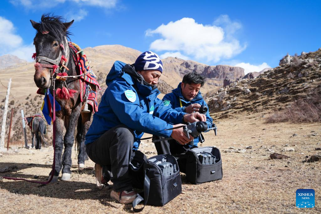 Tseten (kiri) dan Kunga menyediakan dron untuk rondaan di pekan Angsai, kaunti Zaduo, daerah autonomi Tibet Yushu, provinsi Qinghai, barat laut China, 29 Januari 2026. (Xinhua/Qi Zhiyue)
