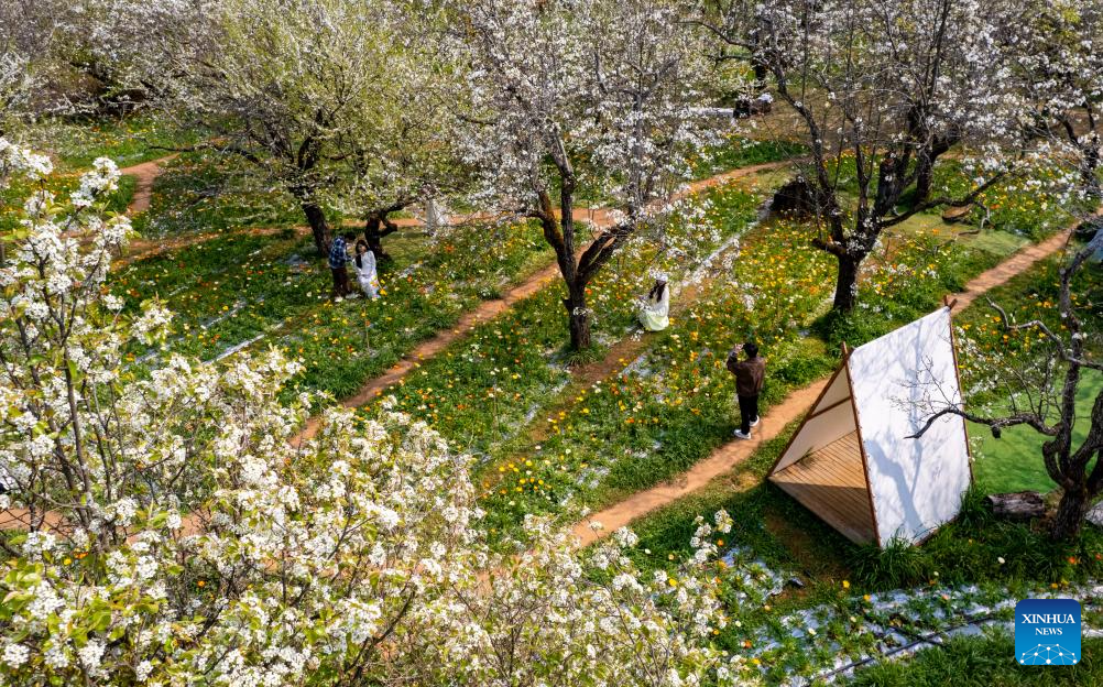 Foto dron menunjukkan orang ramai bergembira di sebuah kawasan berpemandangan indah di Kunming, provinsi Yunnan, barat daya China, 10 Mac 2026. (Xinhua/Chen Xinbo)