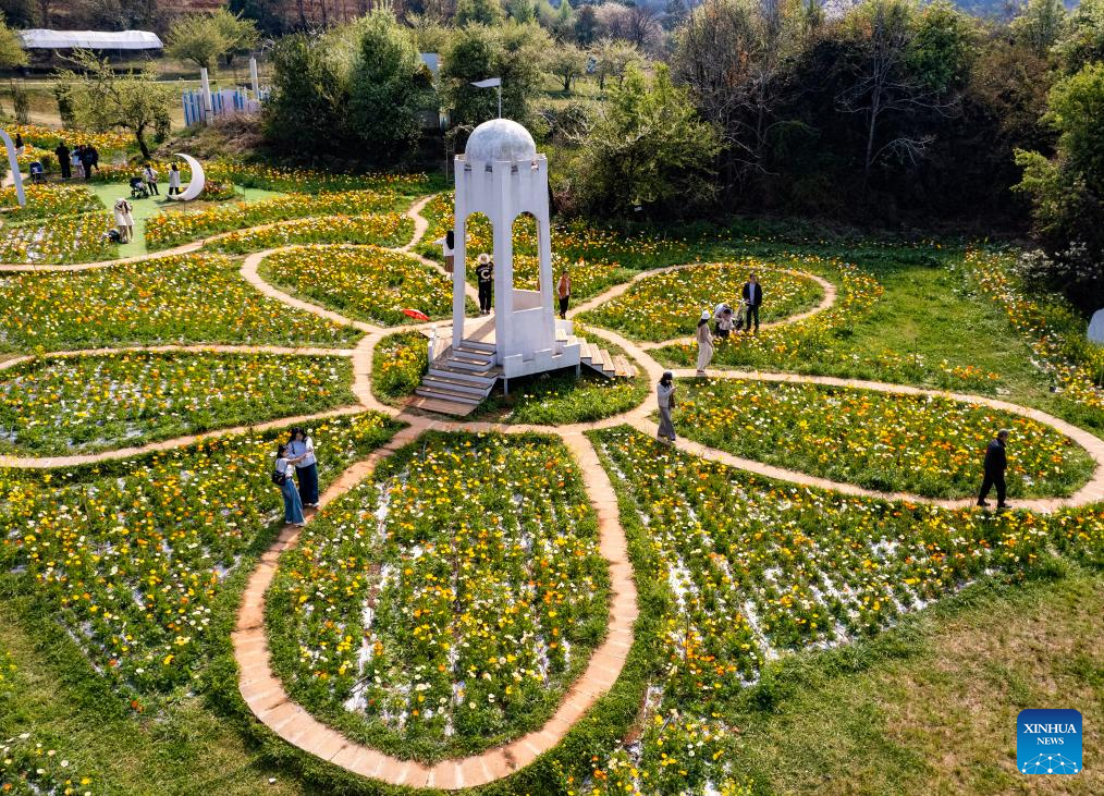 Foto dron menunjukkan orang ramai bergembira di sebuah kawasan berpemandangan indah di Kunming, provinsi Yunnan, barat daya China, 10 Mac 2026. (Xinhua/Chen Xinbo)