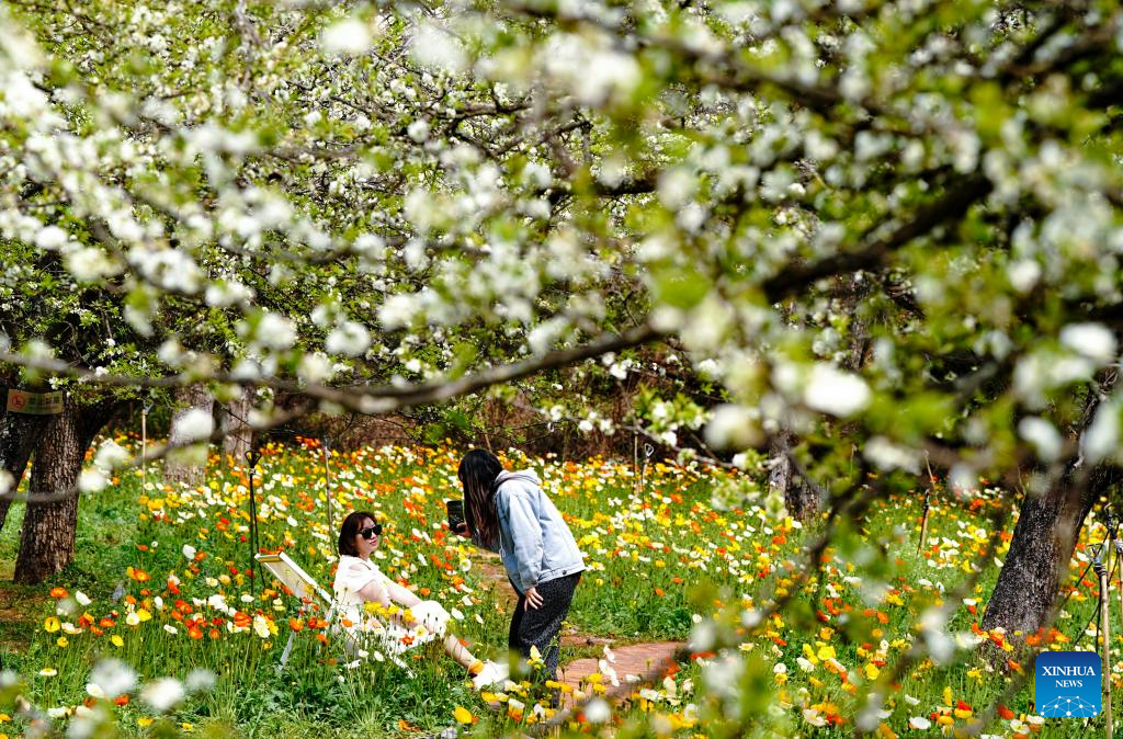 Pelawat bergembira di sebuah kawasan berpemandangan indah di Kunming, provinsi Yunnan, barat daya China, 10 Mac 2026. (Xinhua/Chen Xinbo)