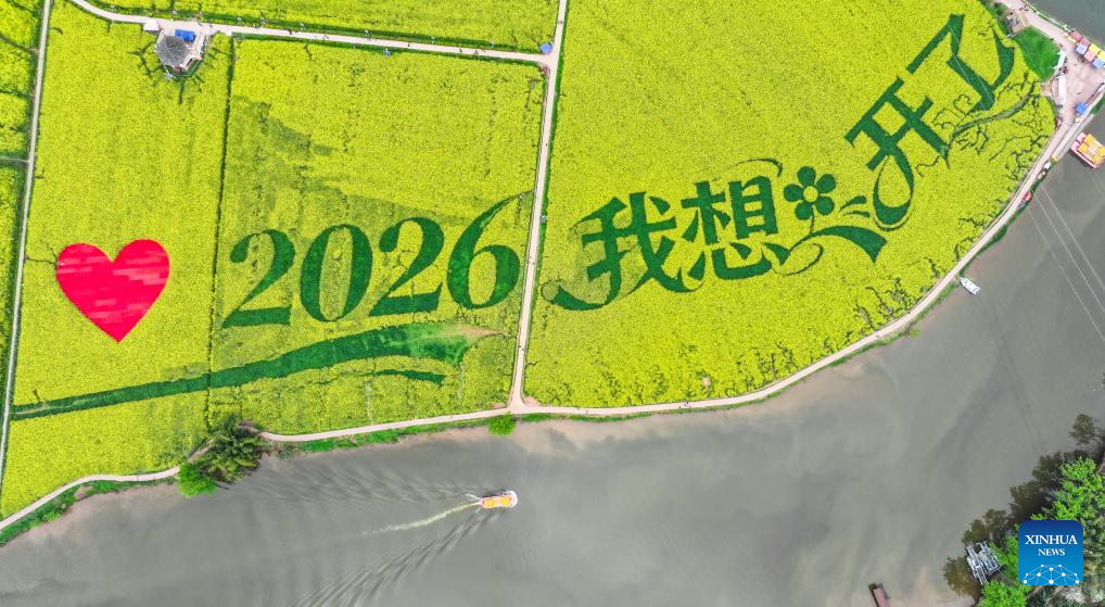 Foto dron bertarikh 12 Mac 2026 ini memaparkan pemandangan ladang bunga sesawi di kawasan peranginan Chongkan, daerah Tongnan, bandar Chongqing, barat daya China. (Xinhua/Wang Quanchao)