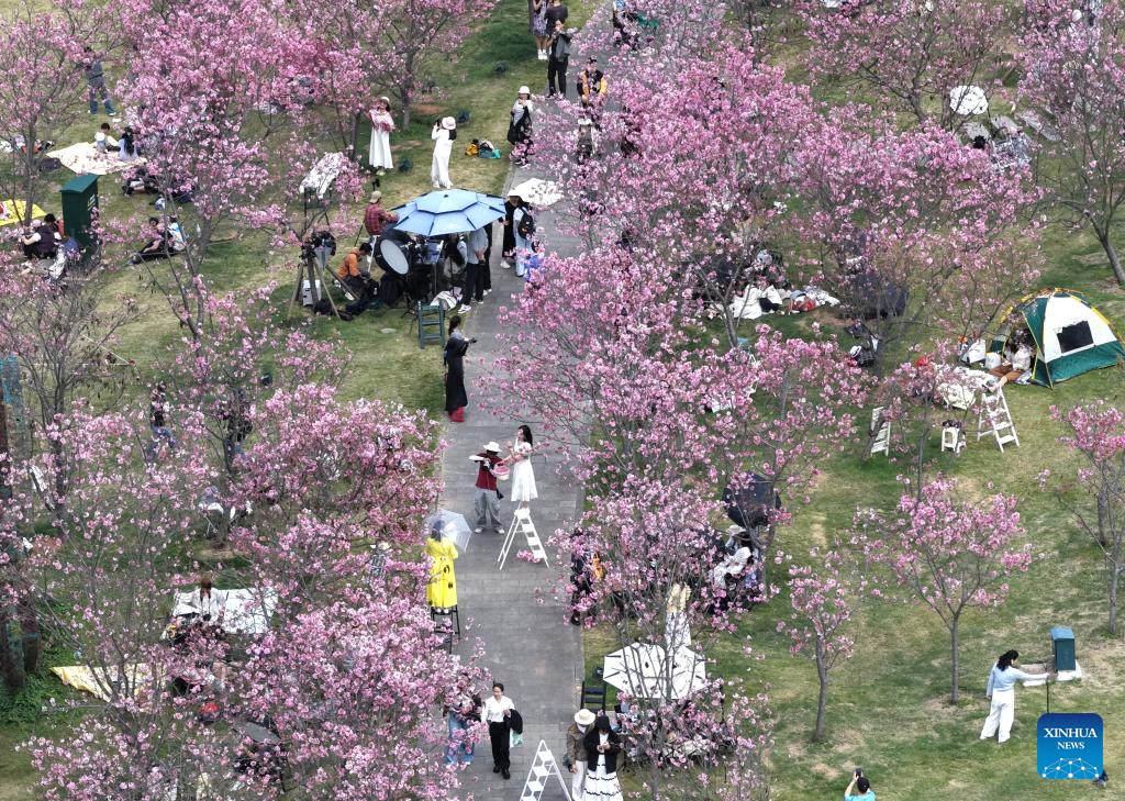 Foto dron yang diambil pada 14 Mac 2026 ini menunjukkan orang ramai sedang melihat bunga di Qingxiushan, Nanning, wilayah autonomi Zhuang Guangxi, selatan China. (Xinhua/Zhou Hua)