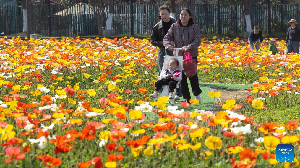 Orang ramai mengunjungi sebuah taman di Wuhan, provinsi Hubei, tengah China, 14 Mac 2026. (Xinhua/Xiao Yijiu)
