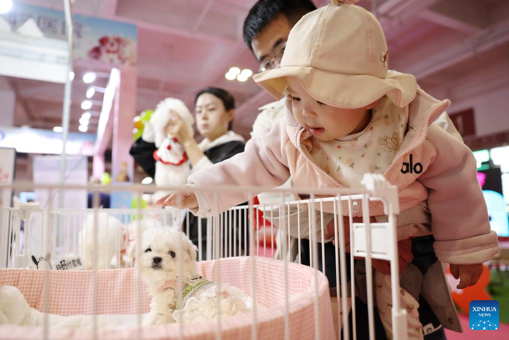 Seorang kanak-kanak membelai seekor anjing pada ekspo haiwan kesayangan di Lanzhou, provinsi Gansu, barat laut China, 27 Mac 2026. (Xinhua/Chen Bin)