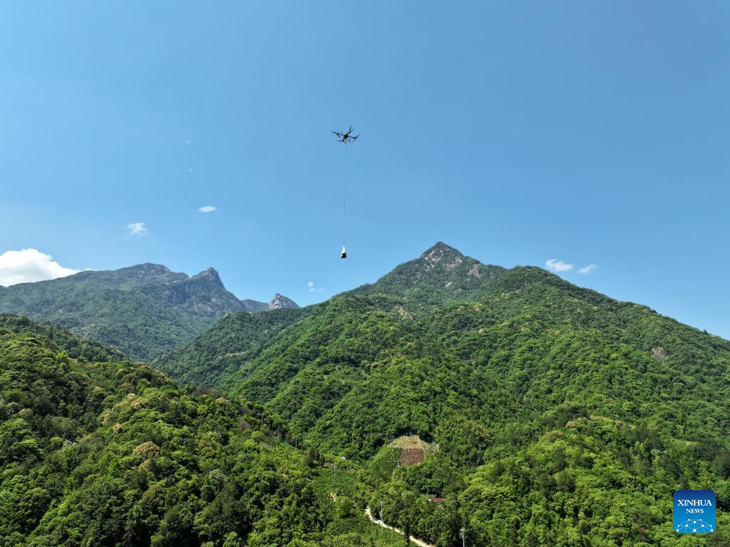 Foto dron menunjukkan sebuah dron sedang mengangkut daun teh yang baru dipetik turun dari bukit di kaunti Qimen, bandar Huangshan, provinsi Anhui, timur China, 16 Mei 2026. (Foto oleh Fan Chengzhu/Xinhua)