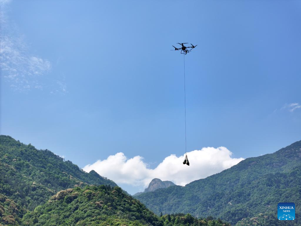 Foto dron menunjukkan sebuah dron sedang mengangkut daun teh yang baru dipetik turun dari bukit di kaunti Qimen, bandar Huangshan, provinsi Anhui, timur China, 16 Mei 2026. (Foto oleh Fan Chengzhu/Xinhua)