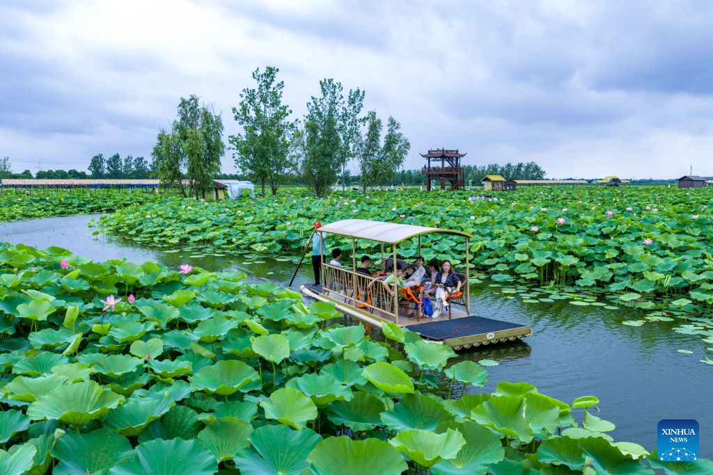 Foto dron menunjukkan kanak-kanak berakit untuk melihat bunga teratai bersama ibu bapa di sebuah kawasan peranginan di bandar Xinghua, provinsi Jiangsu, timur China, 5 Julai 2026. (Foto oleh Zhou Shegen/Xinhua)