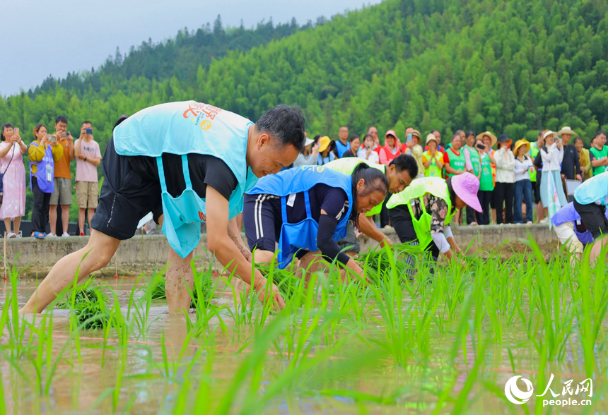 Penduduk Kampung Chongyi Sakan Bersukan di Sawah Berteres