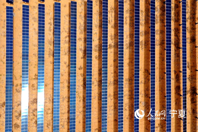 Projek Tenaga Solar Baharu Ubah Padang Pasir Jadi Lautan Biru