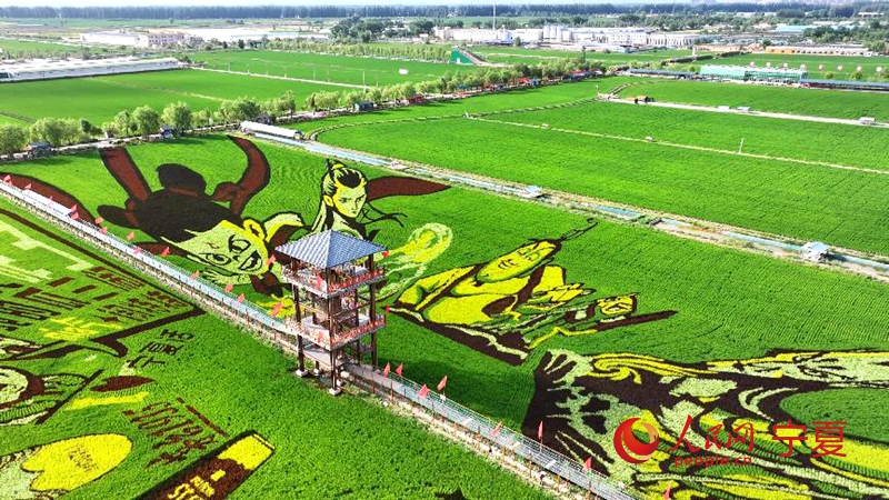 Seni Sawah Indah Tersergam di Ningxia