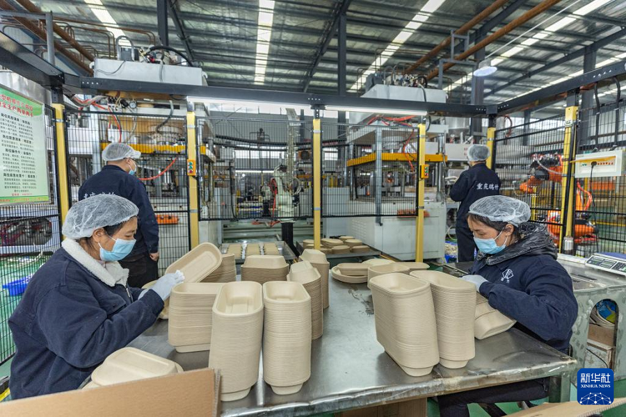 Kehadiran Produk Buluh Kaunti Zhongxian Semakin Kukuh Dalam Pasaran Malaysia