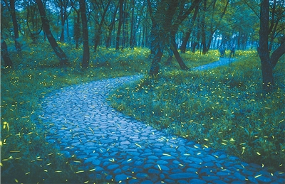 Kunang-kunang di Taman Tanah Lembap Kebangsaan Jiulong di bandar Lishui, Provinsi Zhejiang di timur China. (Foto oleh Zheng Yeqing)