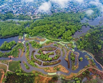 Pemandangan di Taman Tanah Lembap Kebangsaan Jiulong di bandar Lishui, Provinsi Zhejiang, timur China. (Foto oleh Jin Xianguang)
