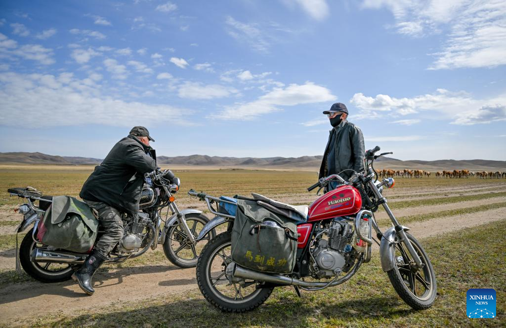 Pengembala Bawa Ternakan Berhijrah, Guna Kemudahan Moden di Mongolia Dalam