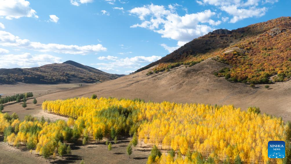 Foto dron bertarikh 28 September 2025 ini memaparkan pemandangan sebuah kawasan peranginan di Panji-panji Depan Sayap Kanan Horqin, Liga Hinggan, wilayah autonomi Mongolia Dalam, utara China. (Xinhua/Bei He)