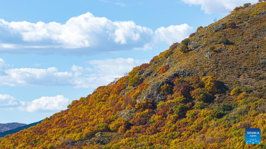Foto dron bertarikh 28 September 2025 ini memaparkan pemandangan sebuah kawasan peranginan di Panji-panji Depan Sayap Kanan Horqin, Liga Hinggan, wilayah autonomi Mongolia Dalam, utara China. (Xinhua/Bei He)