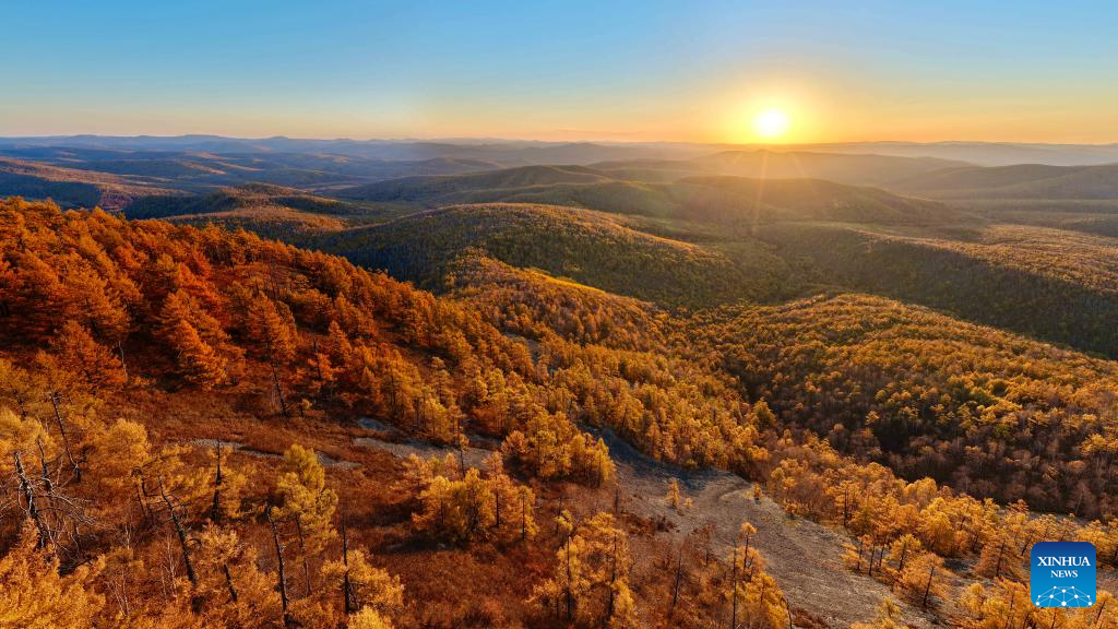 Foto dron bertarikh 28 September 2025 ini memaparkan pemandangan musim luruh di Hulur Buir, wilayah autonomi Mongolia Dalam, utara China. (Xinhua/Ma Jinrui)