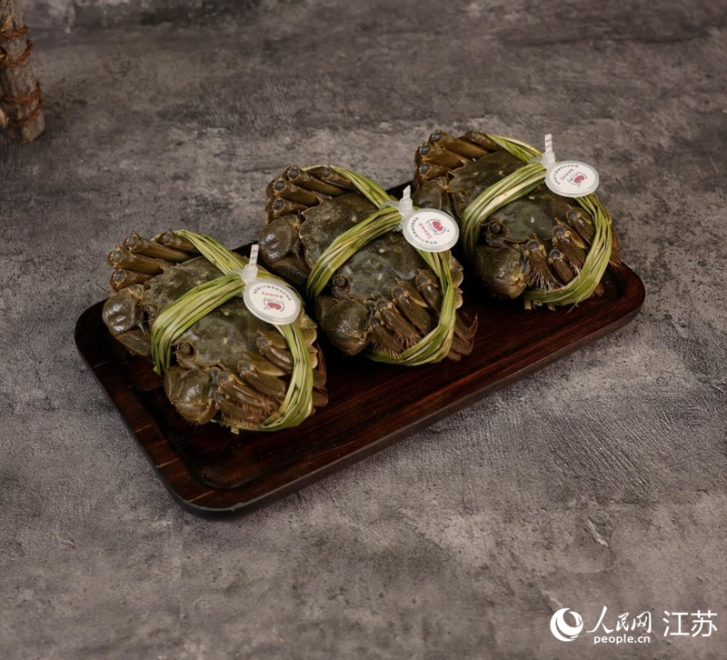 Foto memperlihatkan ketam Tasik Gucheng dengan tag yang boleh dikesan. (People’s Daily Online/Wang Dandan)