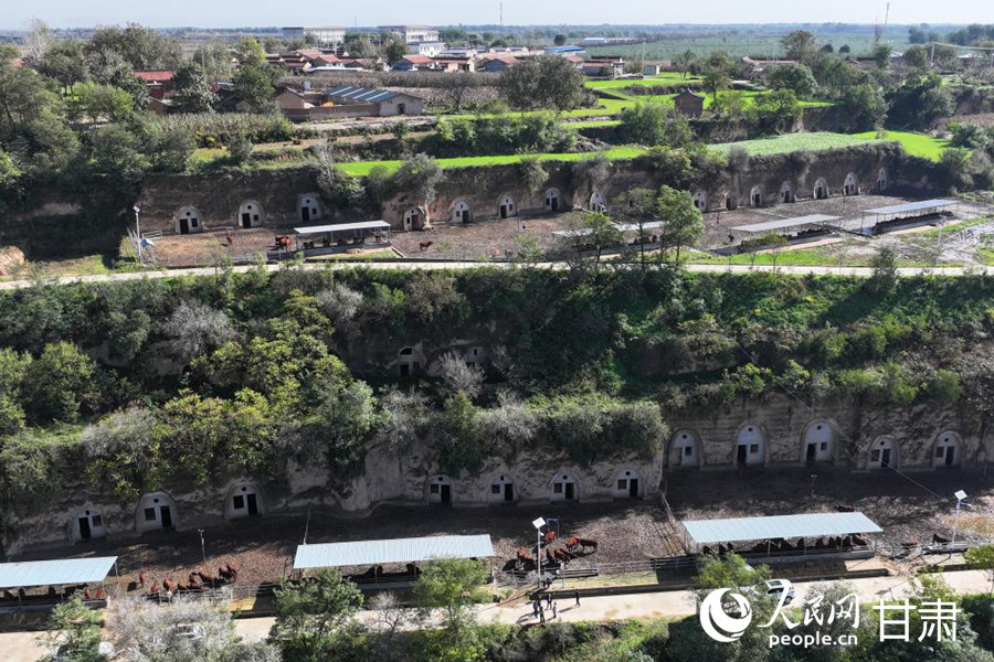 Kediaman Gua Dihidupkan Semula Sebagai Kandang Lembu