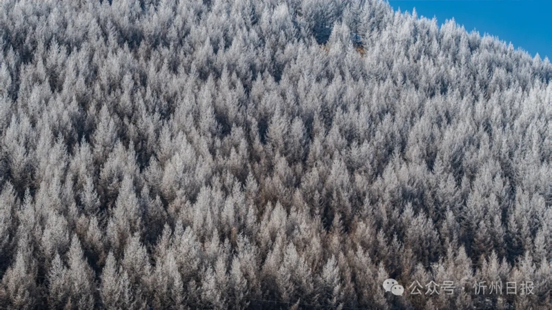 Foto di sebuah gunung di Gunang Wutai. ( Foto oleh Yong Guojun)
