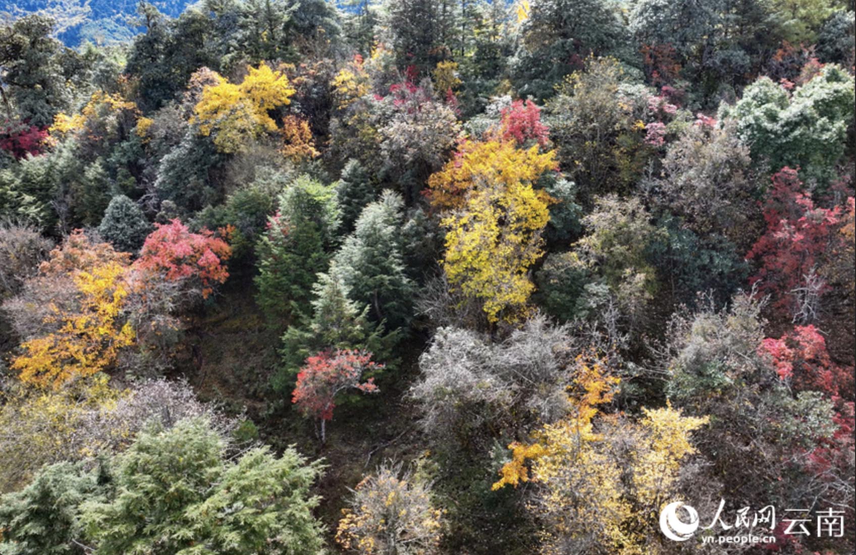 Foto pemandangan sudut udara ini menampilkan suasana awal musim sejuk di kaunti Jianchuan, Dali, Provinsi Yunnan di barat daya China. (Oleh Huang Dapeng)