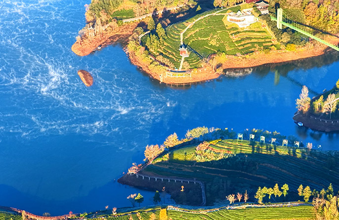 Pemandangan Menakjubkan Taman Bertemakan Teh Diselubungi Kabus Pagi di Anhui