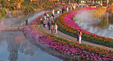 Pelancong Menikmati Keindahan Bunga di Gunung Qingxiu, Nanning