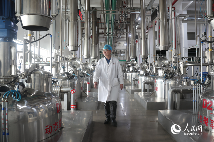 Musim Menuai Buah-Buahan Perubatan Bermula di Henan